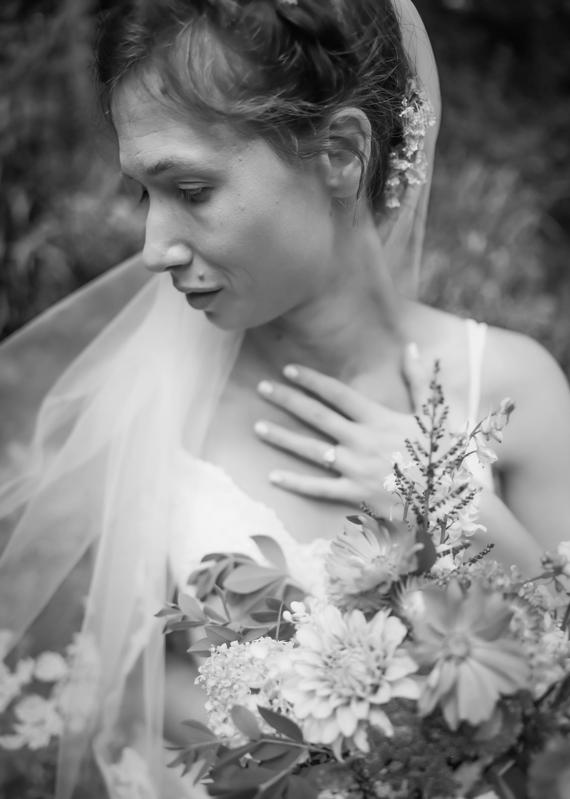 carousel-hero-element image-1